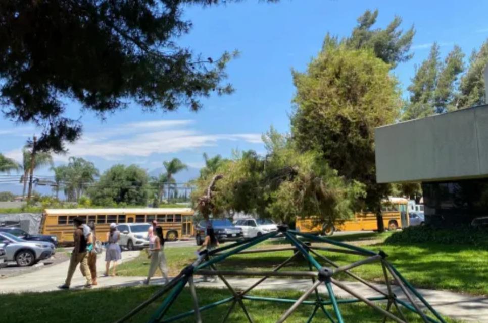 20260120350959502993.jpg QQ浏览器截图20260120095926.jpg